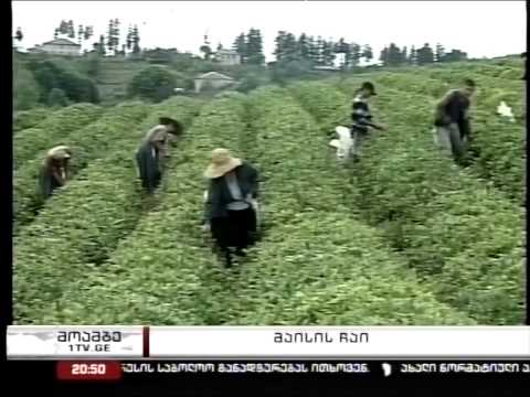 მედია ჩვენს შესახებ (მოამბე)