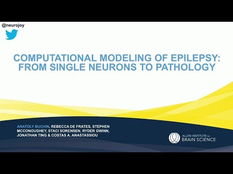 Computational Modelling of Human Epilepsy: from Single Neurons to Pathology
