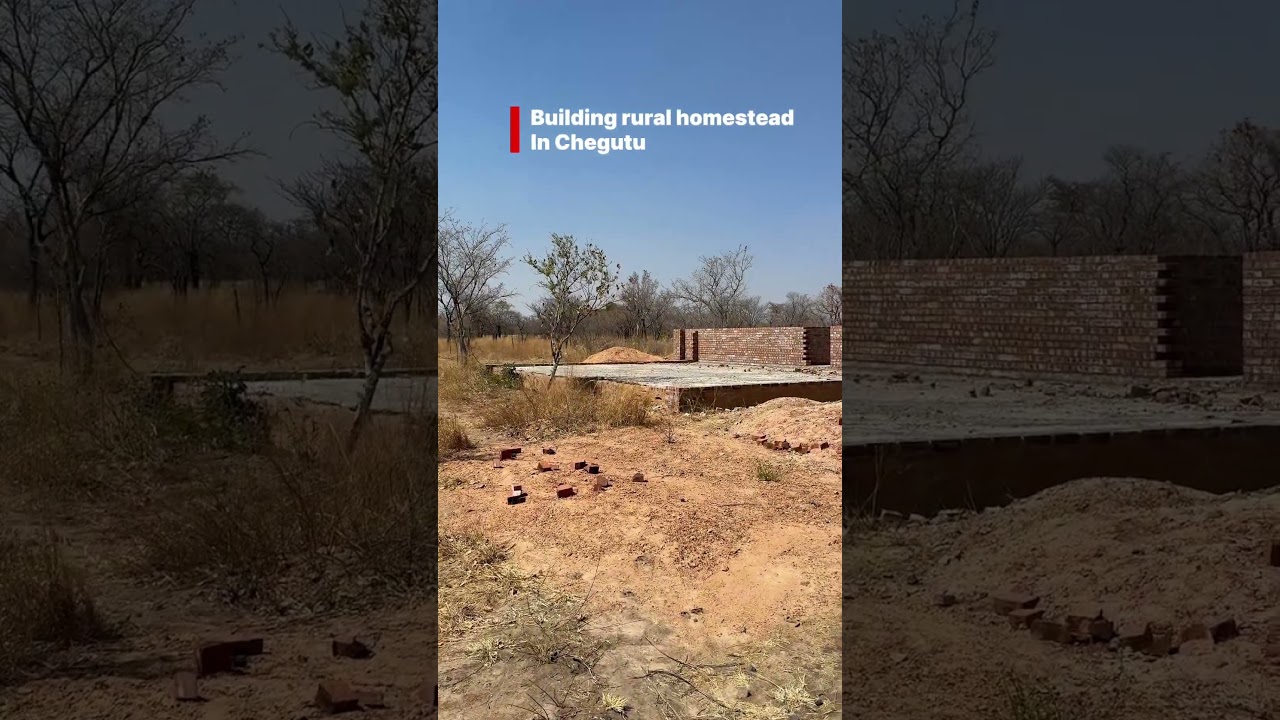 👉 Building Our Homestead in Chegutu Zimbabwe 🌱 | Off Grid Living & Farming 