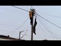 Electric power fault detection and rectification in low tension overhead lines