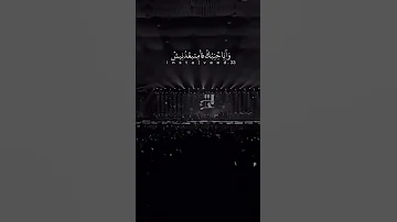 تامر عاشور انت حبيبي واغلي ناس 