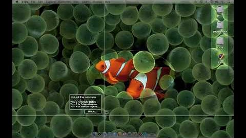 Voila v2.5 Capture multiple screenshots with Voila!