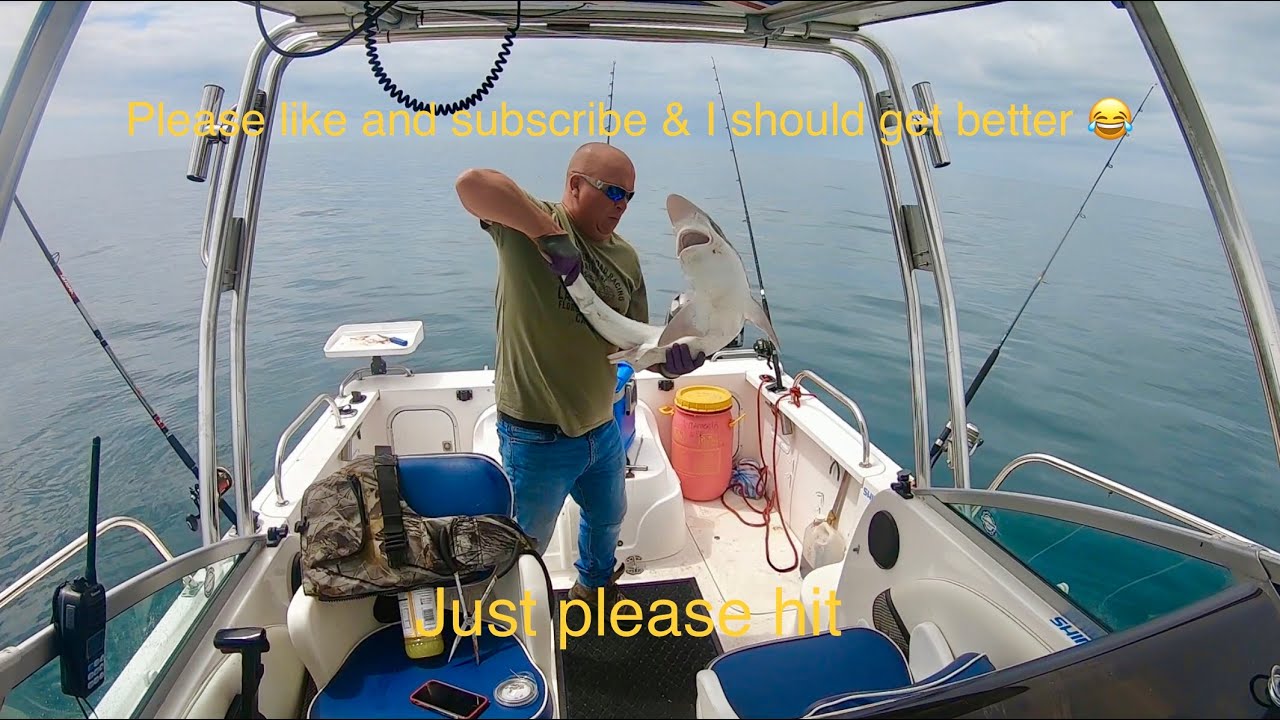 Sea fishingTOPE fishingPwllheli dolphinsbayliner trophynorth wales