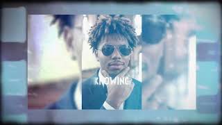 💿 NU FREQS - Almost Lose It (Official Visualizer)