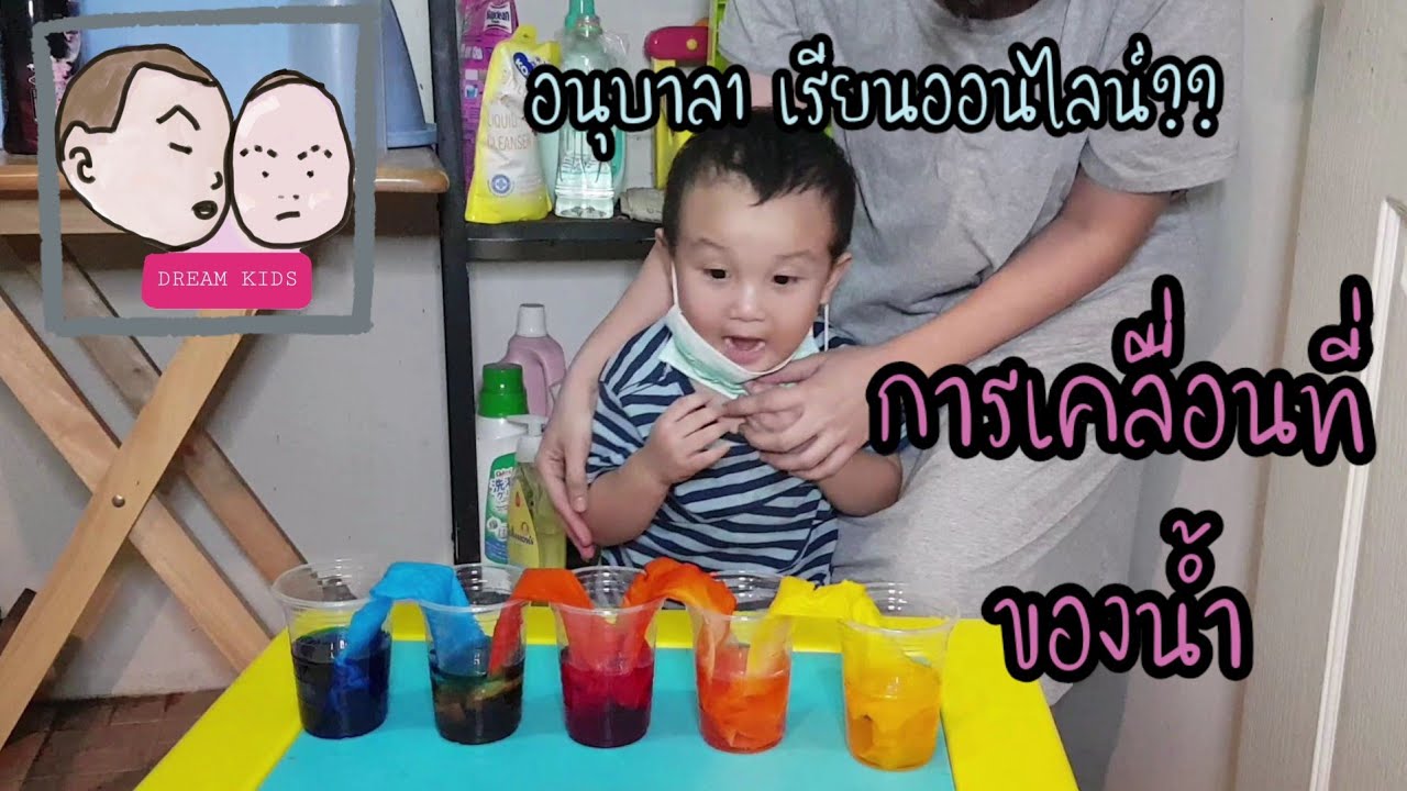 เรียนออนไลน์ อ.1 | ทดลองการเคลื่อนที่ของน้ำ | ตามใจดรีมคิด ...
