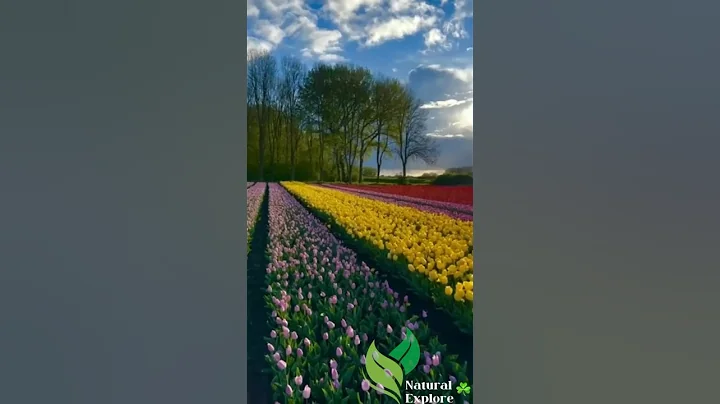 Must visit before you die #shorts #travel #trendingshorts #trend #nature #explore #worldexplore