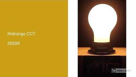 Warm Dim LED Light Bulbs from TCP