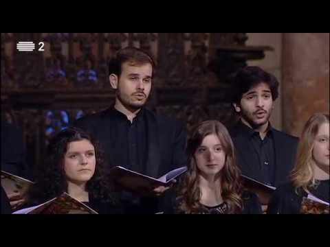 Concerto de Natal dos Seis Órgãos da Basílica de Mafra