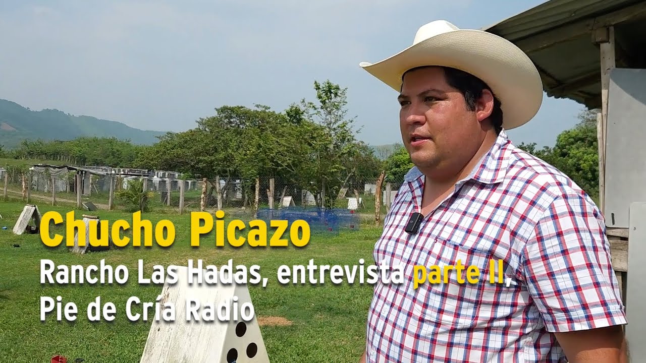 Chucho Picazo, Rancho Las Hadas, entrevista parte II, Pie de Cría oficial