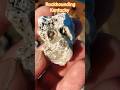 Rockhounding Kentucky Railroad 💥