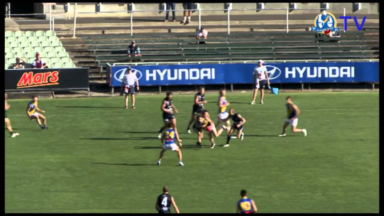 Highlights Vs Northern Blues seagulls photos