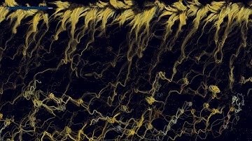 Emergent Morphogenetic Algorithms - Particle System