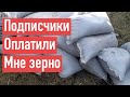 ПОДПИСЧИКИ ОПЛАТИЛИ МНЕ ЗЕРНО 😲😲😲 СПАСИБО ВСЕМ ОГРОМНОЕ