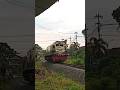 CC 201 92 01🔰JR ex plh menemper truk muatan pasir di Kalisat/Jember