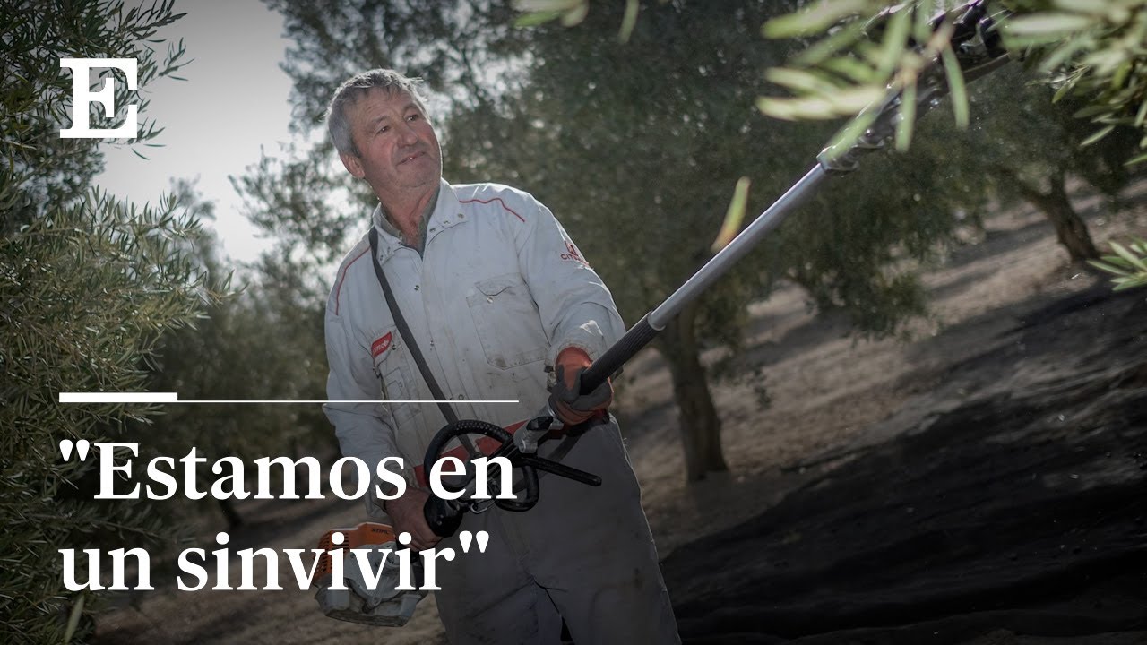 MEGAPARQUES RENOVABLES: si llegan a CANILES (GRANADA) ¿será algo BUENO? | Reportajes |  EL PAÍS