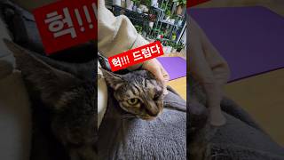 마사지샾의 진상손님(막판 안구테러주의)