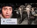 The Citra Nosey Animatronic Is DISTURBING The Citra Nosey Animatronic Is DISTURBING