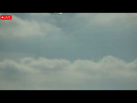 馃敶 LIVE | Hamburg Airport single runway ops 05/23 鉁堬笍 #planesptting #livestream