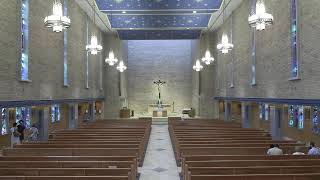 Why Falling in Love with Christ Brings True Joy