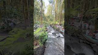 Rekomendasi Wisata Alam di Lumajang #wisataalam #wisatalumajang #lumajang #destinasiwisata #fyp #lfl
