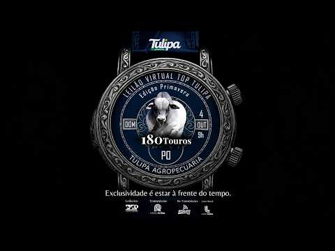 LOTE 98   TUL 5545