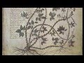 Medicine and healthcare in the Roman Empire (eastern Roman Empire, Byzantium), a mini documentary