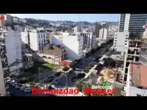 بلكور كبير شان 