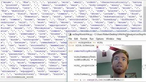 Ep 10 Python NLTK | Create Custom Stopwords Function