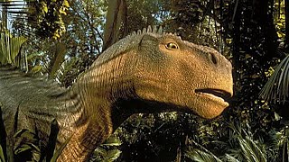 Dinosaur Can Somebody Tell Me Who I Am Orange Blue