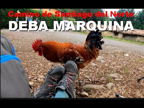 CAMINO DE SANTIAGO DEL NORTE- DEBA MARQUINA - YouTube