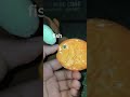 Capypara and fish