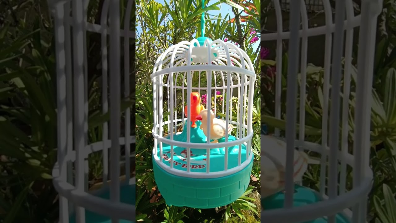 Asmr happy birds toys