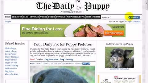 Learn About Internet Explorer 9 Browser - Part 3