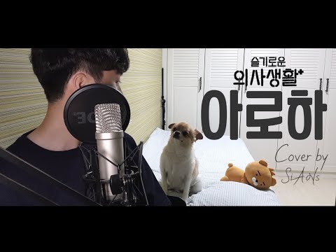 조정석 - 아로하(슬기로운 의사생활 OST)(원곡 - 쿨) (Cover)