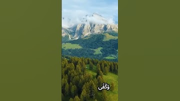 سورة الأحزا.ب و..كا،،نك تسمعها لأ؛؛و،،ل مر.ة 💚؛🌸..🧡💟؛؛💐💮💙بصوت الشيخ حمزة مد بو.ح 🧡.،💮،،💟،؛🍃🌼❣️،💐