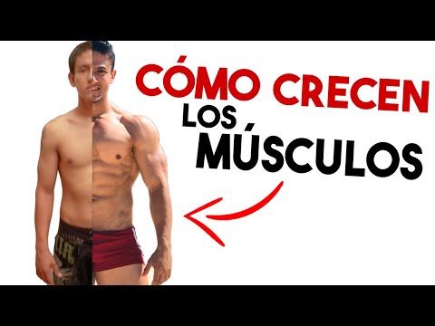 Video: Cómo Hacer Crecer Los Músculos