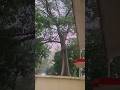 मेरे गांव का मौसम #cutebaby #love #hindisong