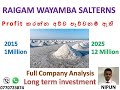 RAIGAM WAYAMBA SALTERNS PLC (RWSL.N) -  Company analysis  with data base / Long term