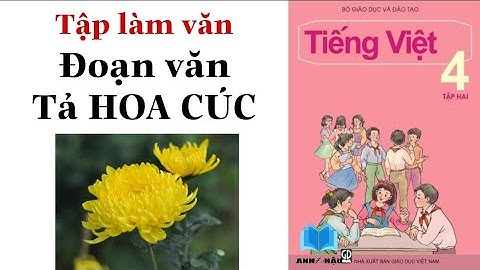 Bài văn tả cây hoa cúc lớp 4 năm 2024