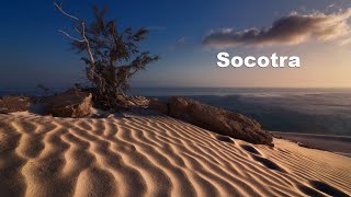 Socotra island