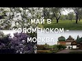 Май в Коломенском   Москва