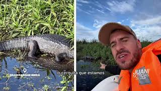 Recorrido por el Gran Parque Iberá | SAFARI EN CORRIENTES