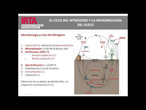 Dr. Marc Viñas "Ecología microbiana del suelo y rizosfera"