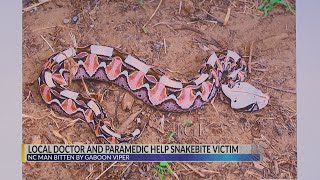 Local doctor and paramedic help snake bite victim screenshot 4