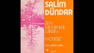 Salim Dündar.sen Mevsimler Gibisin