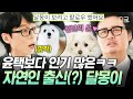 [#유퀴즈온더블럭] 〈나는 자연인이다〉 촬영 중 만난 소중한 인연✨ 윤택 ♥ 달몽이 운명 같은(?) 첫 만남 SSUL🐶