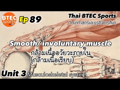 Ep.89 Smooth or involuntary muscle กล้ามเนื้ออวัยวะภายใน (กล้ามเนื้อเรียบ)