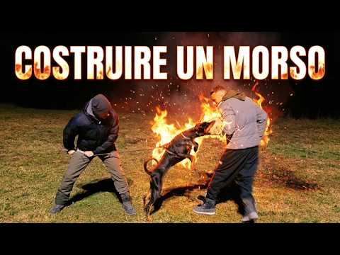 COME COSTRUIRE UN MORSO 🔥 Predazione, Possessività e Autodifesa | Tutto sul MORSO DEL CANE