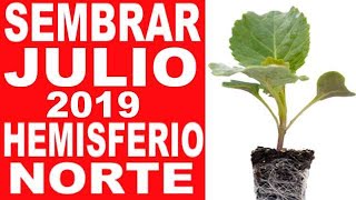 👉QUE SEMPRAR EN JULIO 2019 PLANTAR HEMISFERIO NORTE CALENDARIO DE SIEMBRA