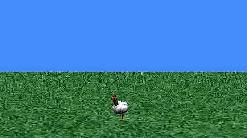 FunkyChicken.mov